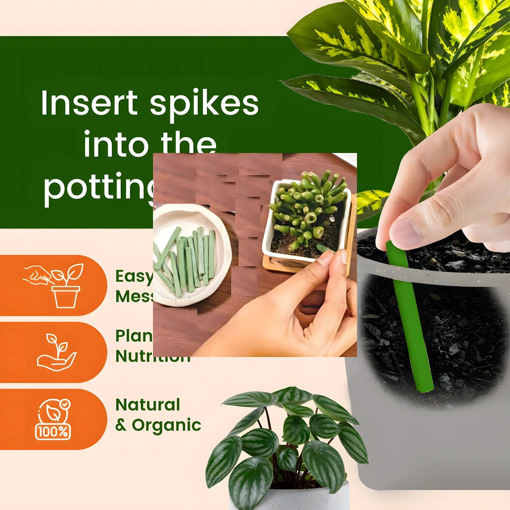 Plant Fertilizer Sticks (25 Pack)