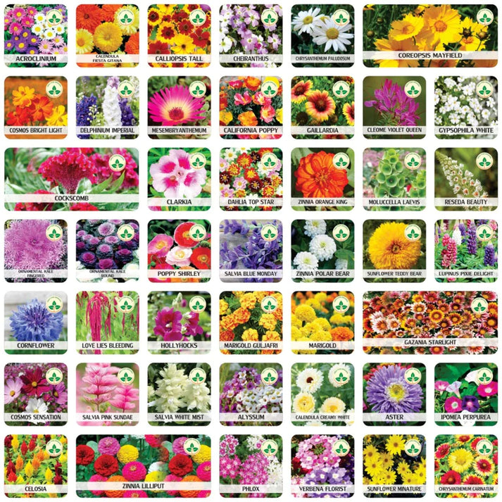 Mix Flower Seeds (Pack of 100 Seeds)