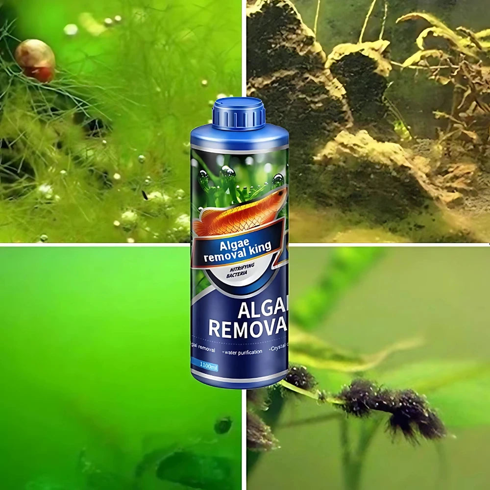 Algae Remover for Fish Tanks & Ponds