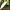 Best 3-fold travel umbrella - rain umbrellas | 2025 | fast shipping
