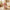 Best 3-in-1 easy-clean potty chair - 2026 | fast shipping