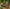 Best 3-prong garden cultivator tool - cultivators | 2025 | fast shipping