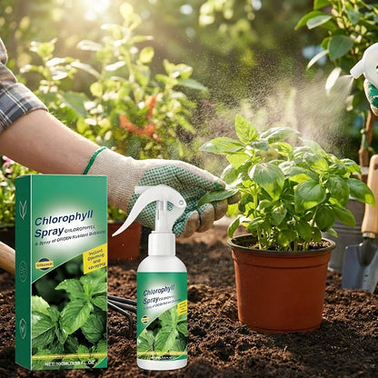 Instant Green Leaf Spray