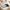 Seamless Lace Panties – Breezy Comfort