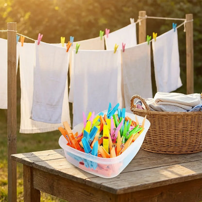Multi Purpose Plastic Clothes Clips