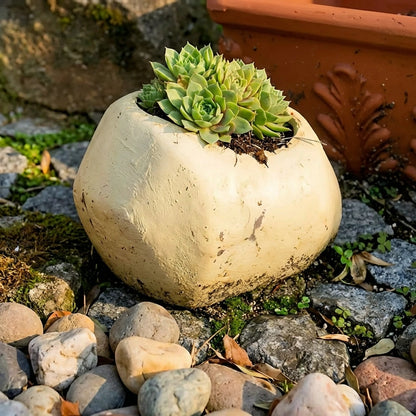 Realistic Fake Rock Key Hider