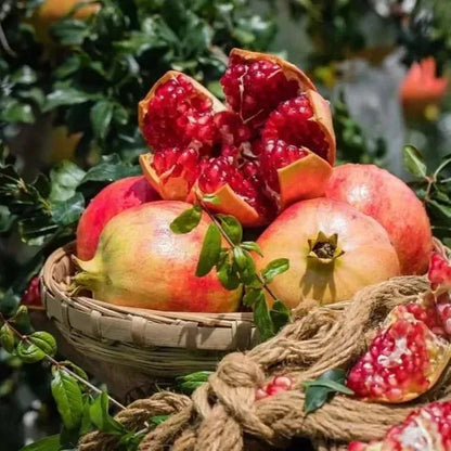 Pomegranate Seeds Pack of 2