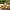 Multani Mitti Handmade Soap (Pack Of 4)
