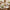 11-Piece Dinner Set with Donga