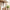 Best 360° rotating 6 claw kitchen hook organizer - 2026 | fast shipping
