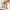 Best 360° rotating 6 claw kitchen hook organizer - 2026 | fast shipping
