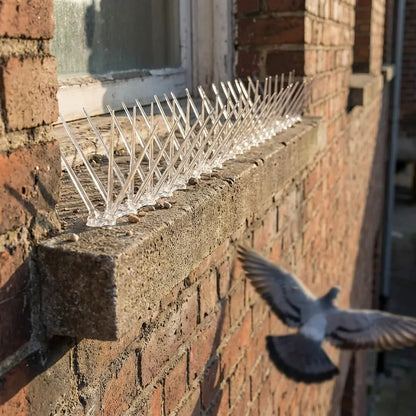 Anti-Bird Spike Strips