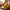 Mango Cutter Chopper Slicer Tool