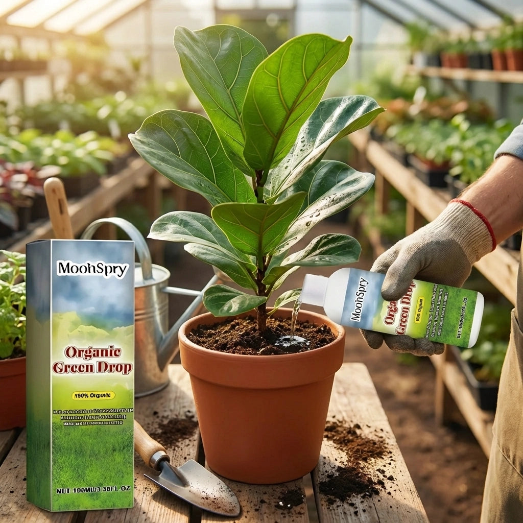 Organic GreenBoost Plant Fertilizer