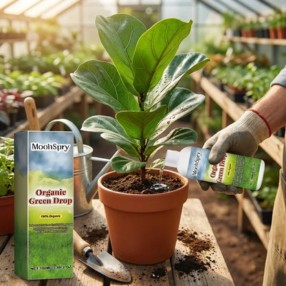 Organic GreenBoost Plant Fertilizer