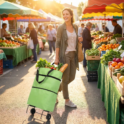 Folding Cart Bags Trolley Shopping Bag For Travel Luggage