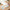 Cartoon Art Coloring Painting Set for Kid's