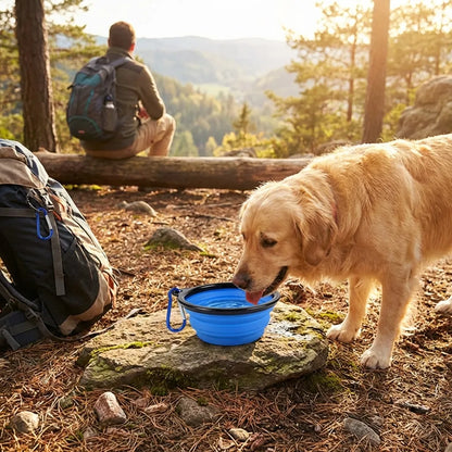 Portable Collapsible Pet Bowl