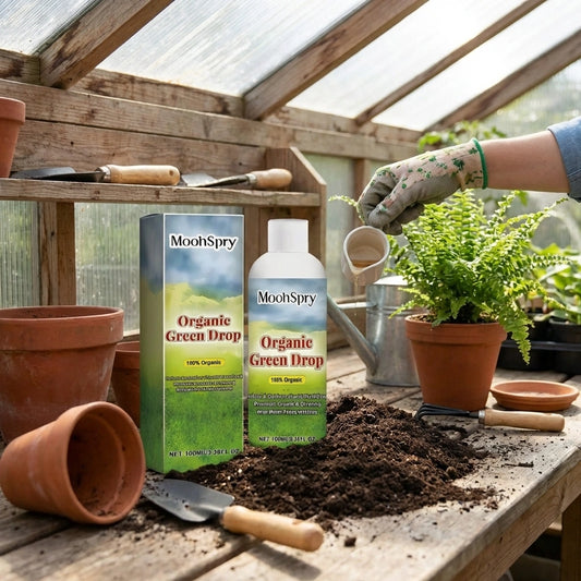 Organic GreenBoost Plant Fertilizer