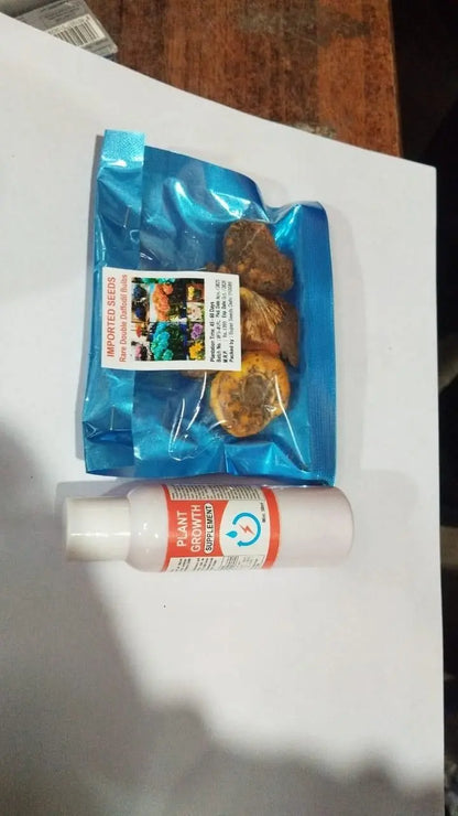 Daffodil Bulbs Pack of 4