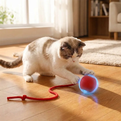 Viral Rolling Ball,Interactive Cat Ball Toy