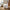 Best 4x6 thermal shipping labels - & tags | 2026 | fast shipping