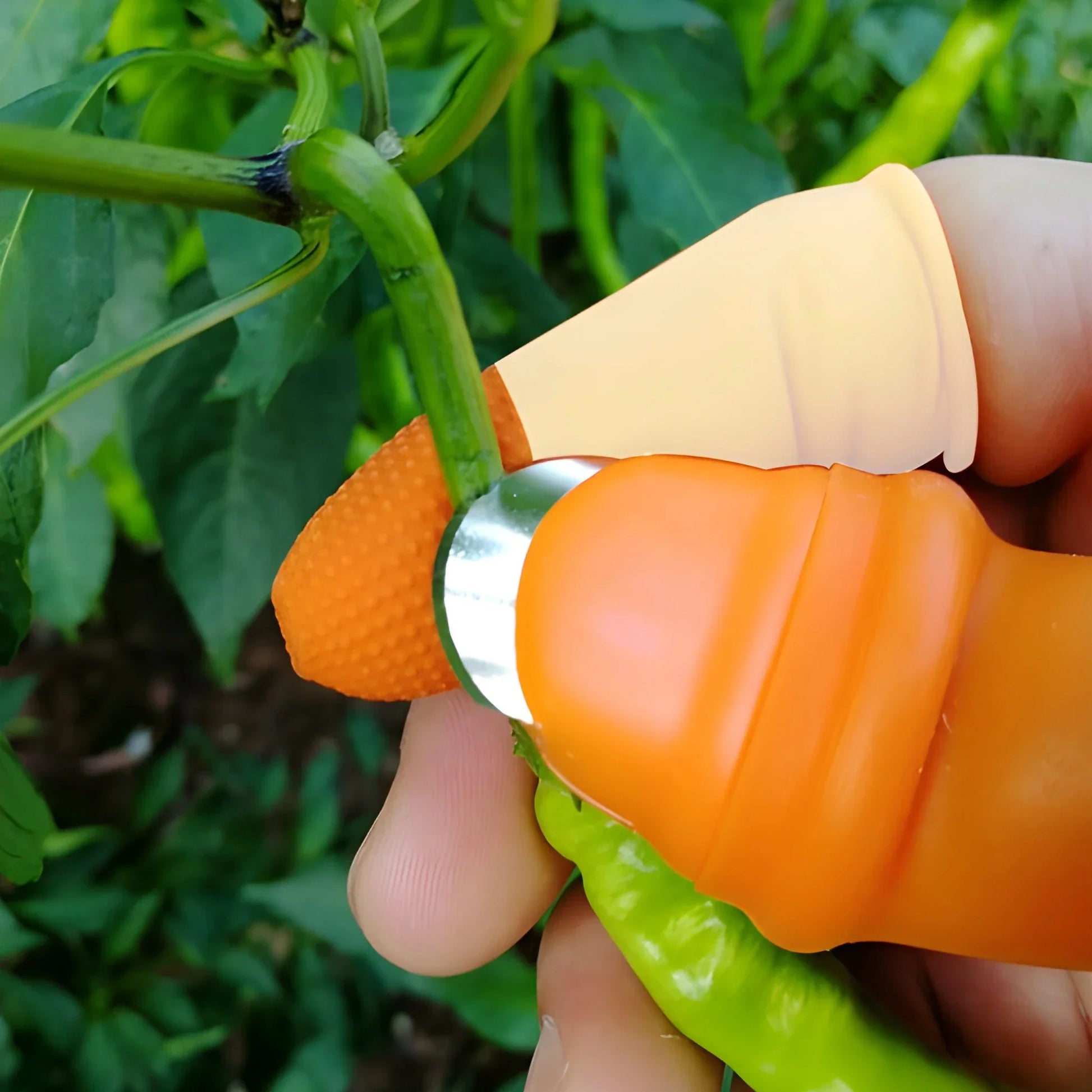 5-Piece Vegetable Thumb Cutter - Home & Kitchen