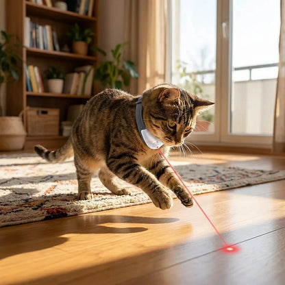 Pet Laser Collar Self Teasing Toy