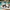 Men's wayfarer Sunglasses