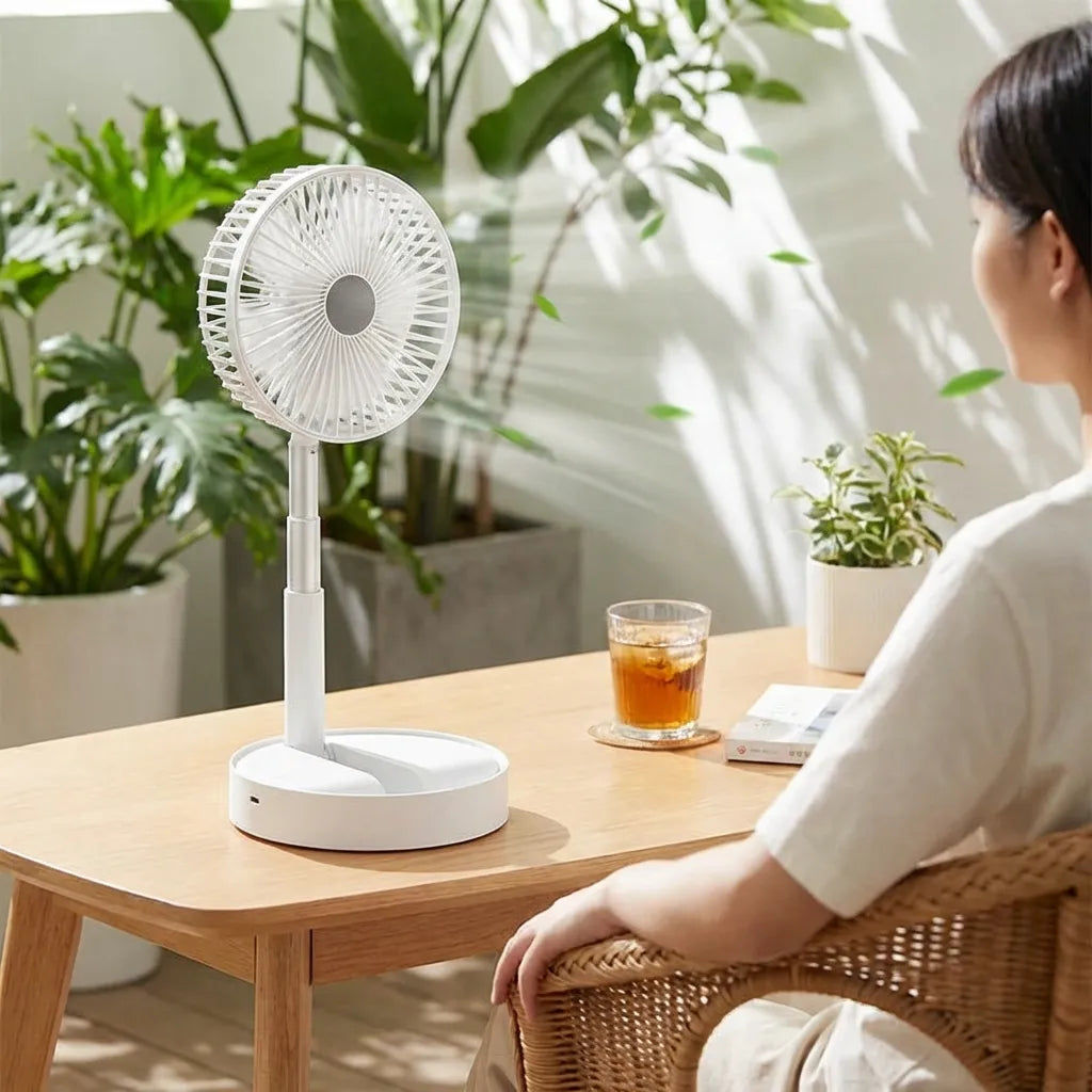 Rechargeable Telescopic Standing Fan