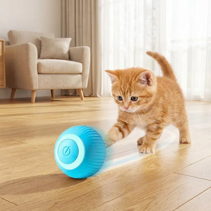 Pets Smart Gravity 360� Self Roller Ball Toy