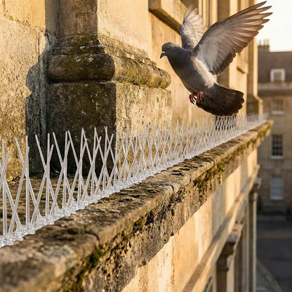Anti-Bird Spike Strips