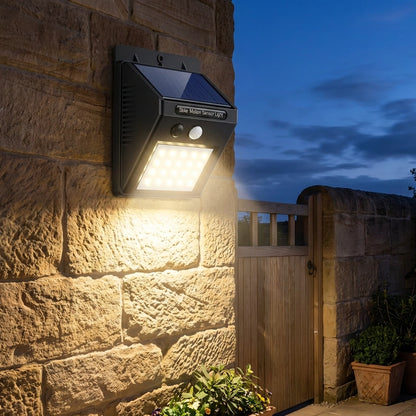 Solar Motion Sensor Light