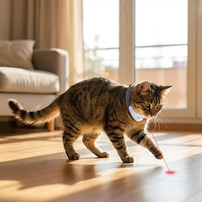 Pet Laser Collar Self Teasing Toy