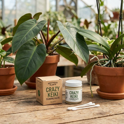 Crazy Keiki Plant Cloning Paste