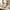Waterproof Toiletry Travel Bags (Combo of 3)