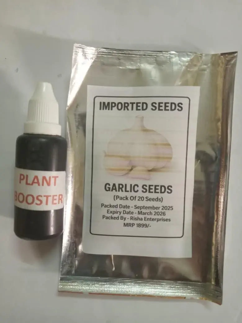 Garlic Seeds with Growth Serum