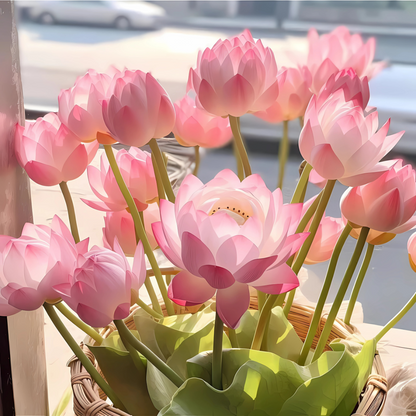 Bonsai lotus flower seeds