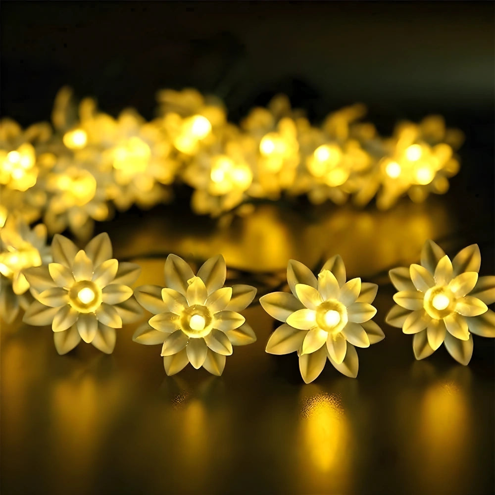 Lotus Fairy String Lights