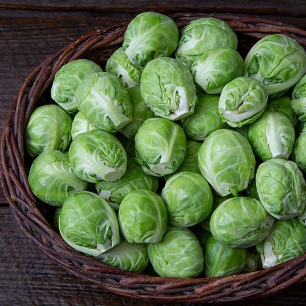 Organic Brussels Sprouts Seeds