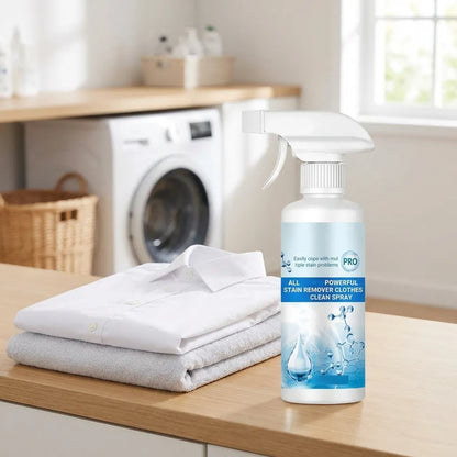Clean Spray Stain Remover (Pack of 2)