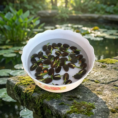 Premium Flower seeds