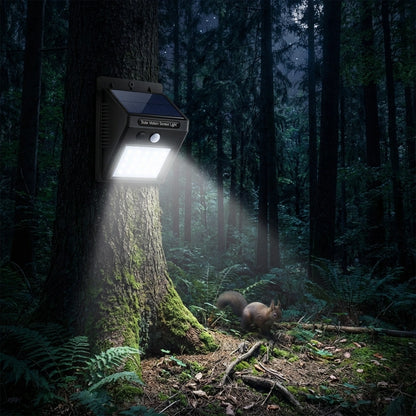 Solar Motion Sensor Light