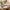 11-Piece Dinner Set with Donga
