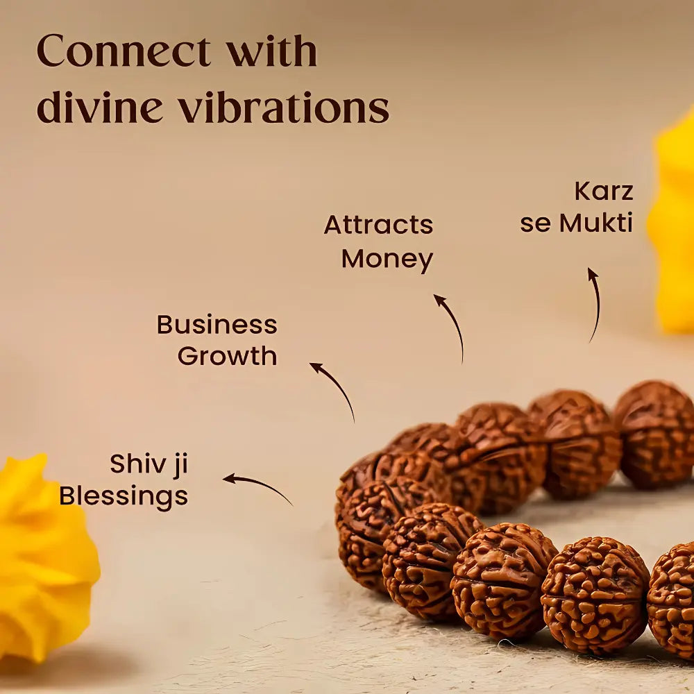 7 Mukhi Rudraksha Bracelet jewelry