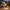 Decorative Hanging Bulb with 3 Modes (Pack of 2)
