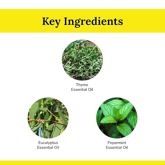 Ant Repellent Spray (100 ml) (Pack of 2)