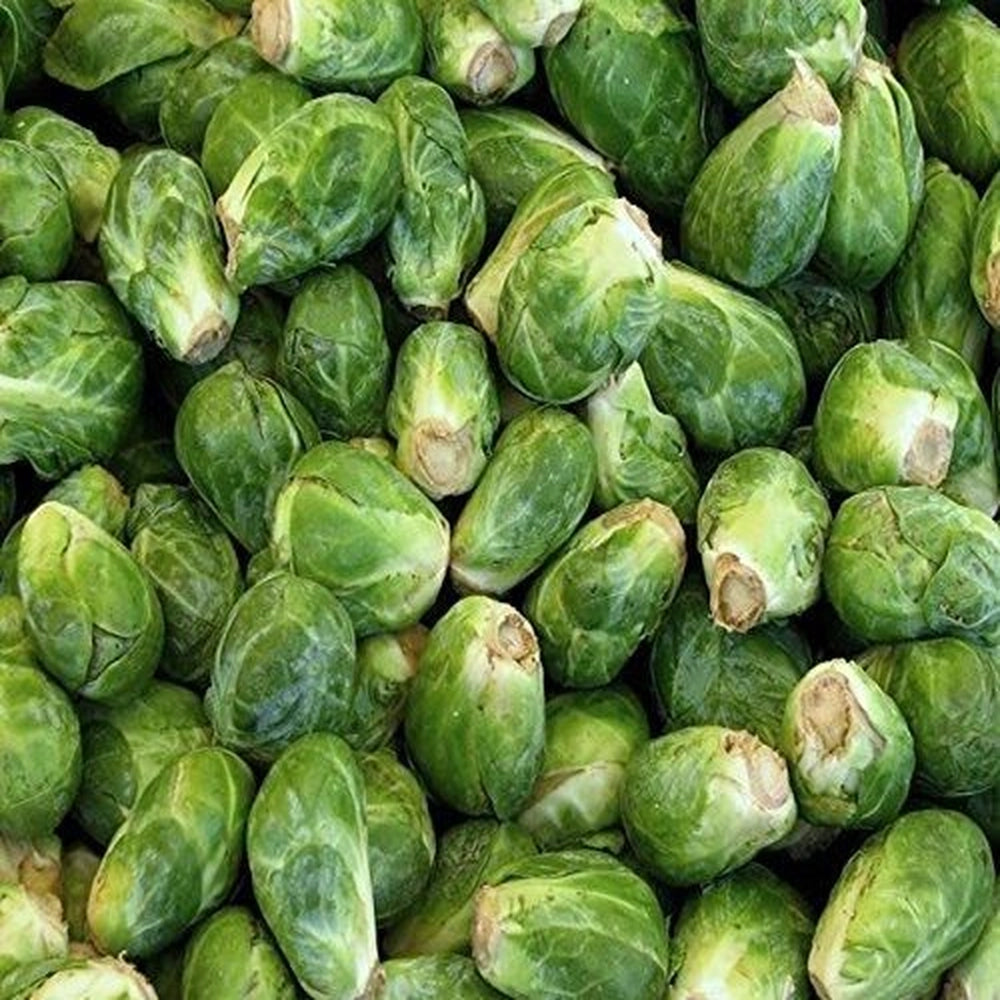 Organic Brussels Sprouts Seeds