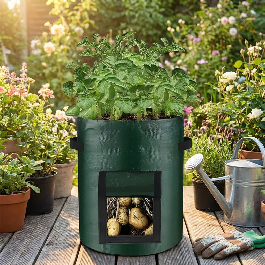 Potato Grow Bag with Harvest Window for Root Vegetables