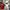 Fuel Transfer Pump Kit